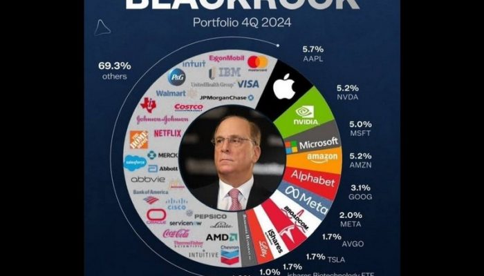 black rock portfolio
