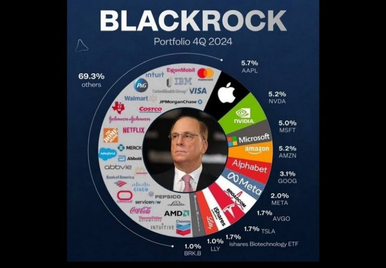 black rock portfolio
