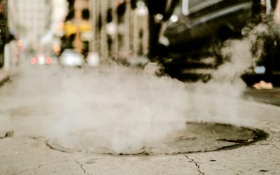 liuba-larousse-Ai8cLayf3qQ-unsplash