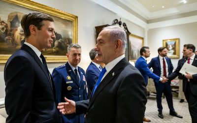 54821691837_11a5a560a9_c