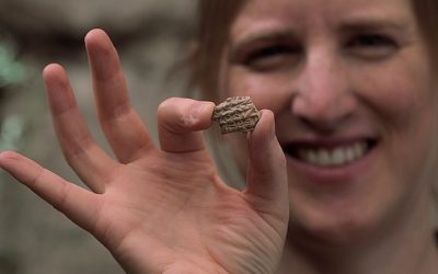 568639563_1122547670057387_7374288979348231614_n