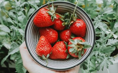 anastasia-zhenina-V9g1kwNsxwc-unsplash