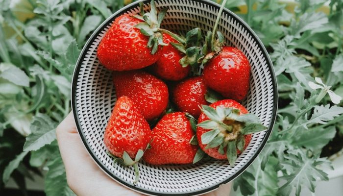 anastasia-zhenina-V9g1kwNsxwc-unsplash