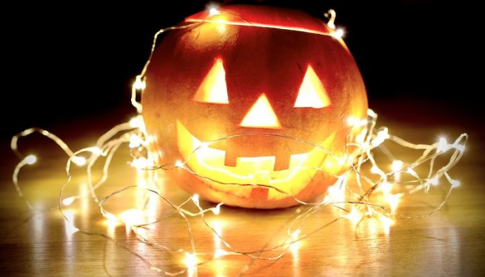 lukasz-niescioruk-Y4rkxtdyLsQ-unsplash