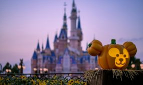 wenhao-ruan-wgS4ndgHEzM-unsplash