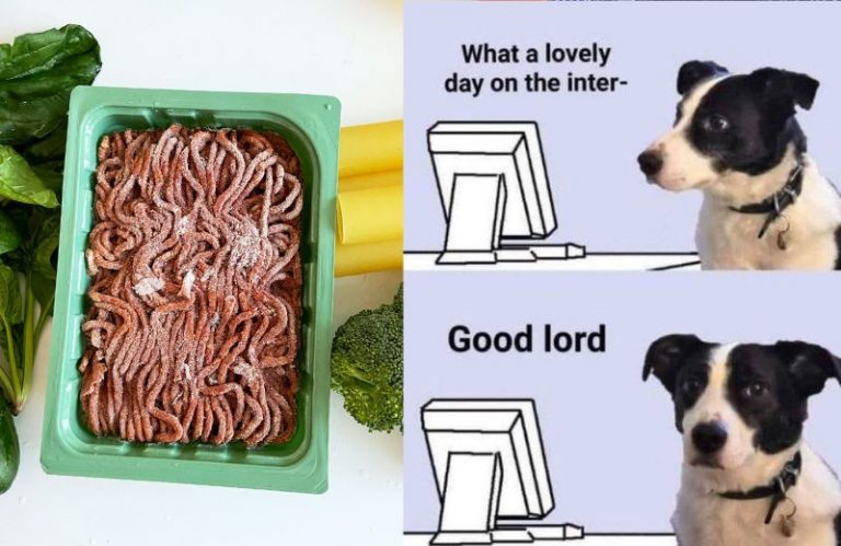 what a lovely day
