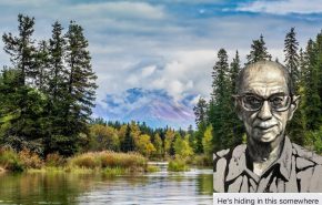 alaska sls bred copy