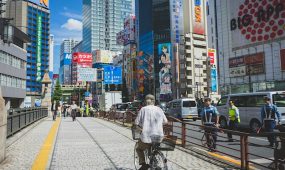 caroline-roose-viCqIi7dHdo-unsplash