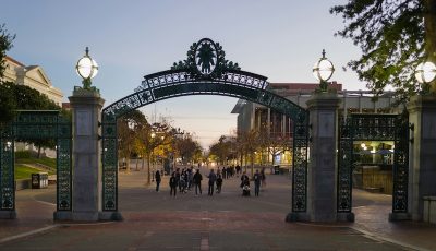 georg-eiermann-vGnEF_zsKnc-unsplash