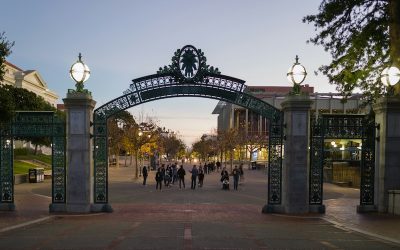 georg-eiermann-vGnEF_zsKnc-unsplash