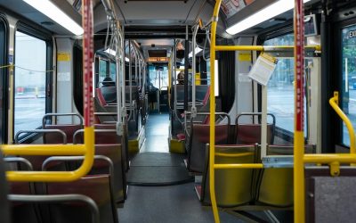 jacob-pretorius-XDUapF3coYc-unsplash