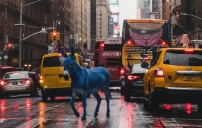 luke-stackpoole-FA8HEWO9Vd8-unsplash copy