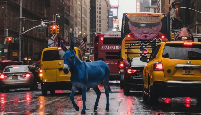 luke-stackpoole-FA8HEWO9Vd8-unsplash copy