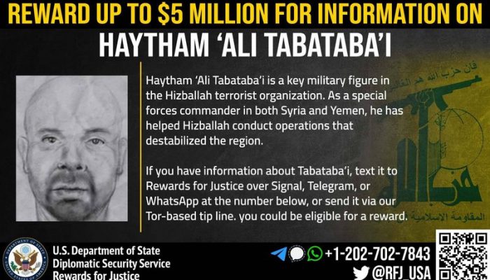 lurie reward haytham ali