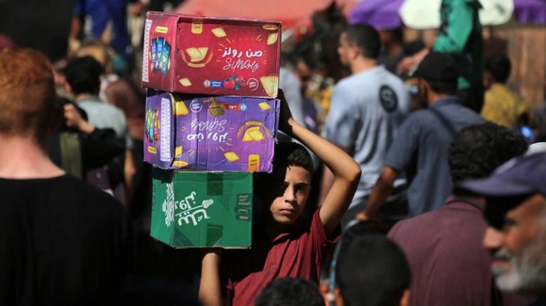 palestina is obeise