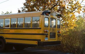 sebastian-morelli-peyton-f88w8ZVNP4M-unsplash