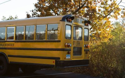 sebastian-morelli-peyton-f88w8ZVNP4M-unsplash