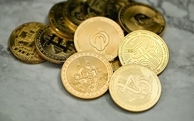 traxer-Qs_qvwrmtuU-unsplash