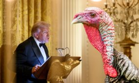 trump amd turkey