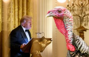 trump amd turkey