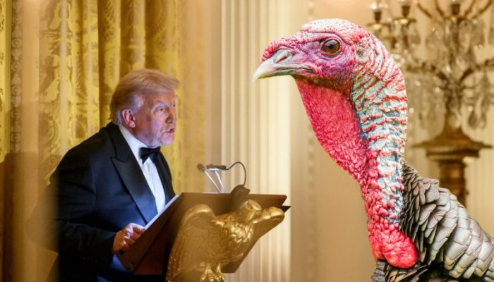 trump amd turkey