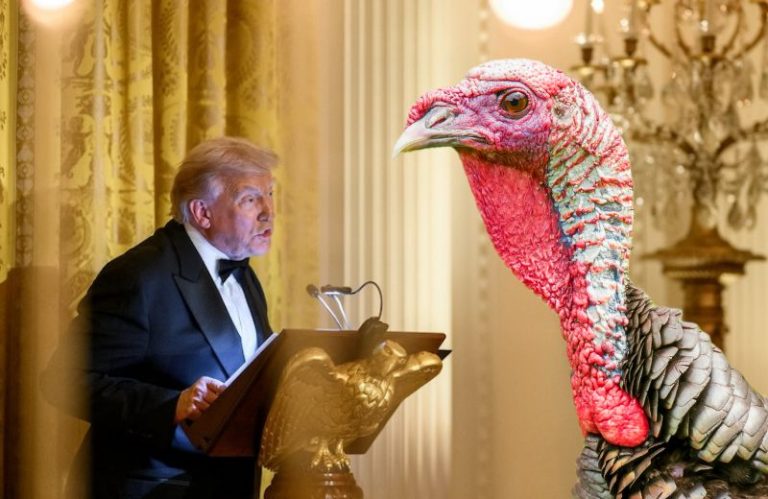 trump amd turkey
