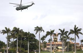 33638029748_11dc4e5050_c