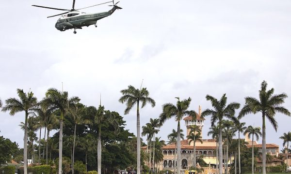 33638029748_11dc4e5050_c