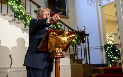 54960060683_2308477f17_k