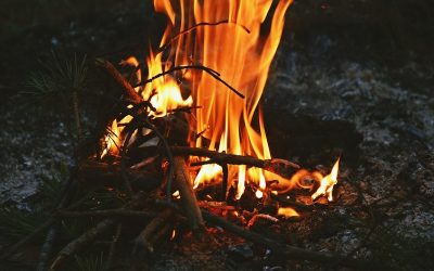 aliaksei-lepik-VGy4KddoR7U-unsplash