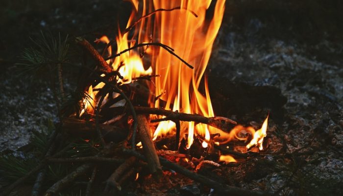 aliaksei-lepik-VGy4KddoR7U-unsplash