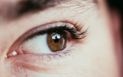 amy-lewis-dW5zsESUzfk-unsplash