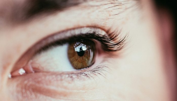 amy-lewis-dW5zsESUzfk-unsplash