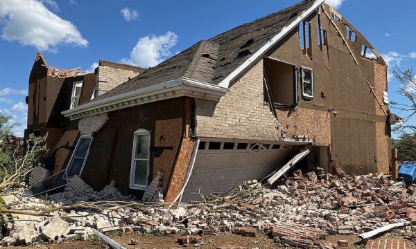 baier insuranse cost