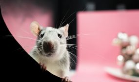 nikolett-emmert-73rNPikkaqY-unsplash