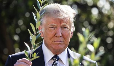 trump with olive branch