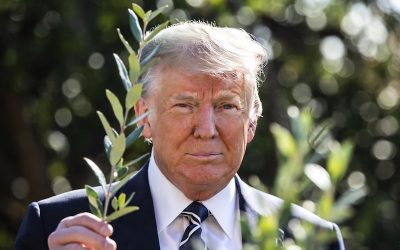 trump with olive branch