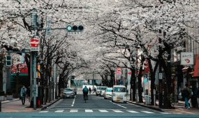 agathe-2cdvYh6ULCs-unsplash