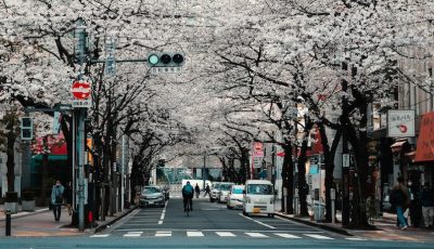 agathe-2cdvYh6ULCs-unsplash