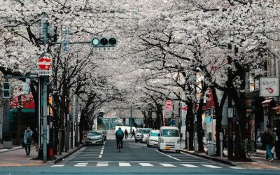 agathe-2cdvYh6ULCs-unsplash