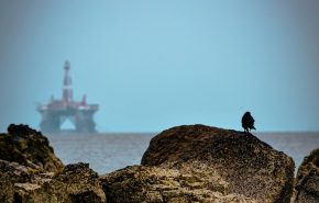 alpha-perspective-NigcEkrdSJo-unsplash