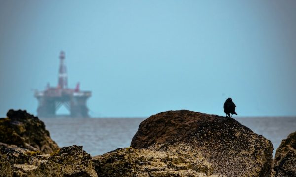 alpha-perspective-NigcEkrdSJo-unsplash