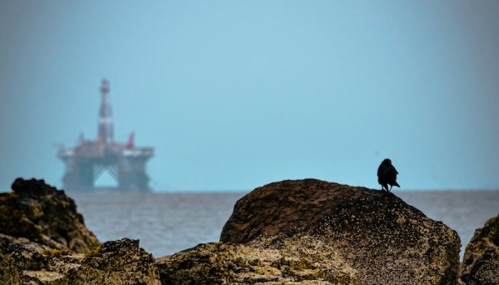 alpha-perspective-NigcEkrdSJo-unsplash