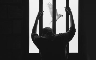 hasan-almasi-aIRBGPafi74-unsplash