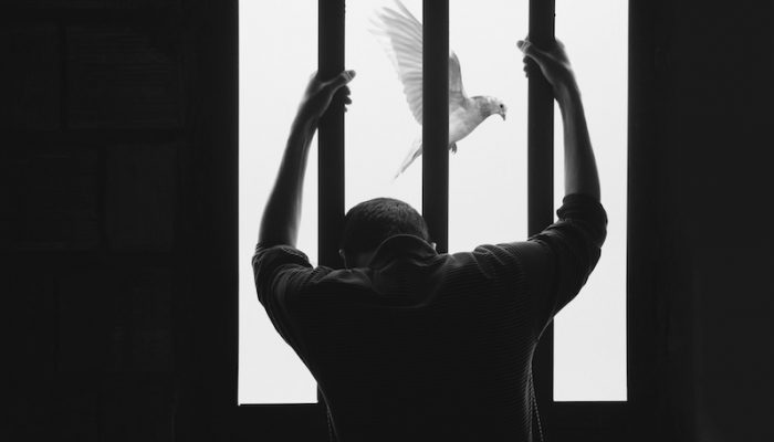 hasan-almasi-aIRBGPafi74-unsplash