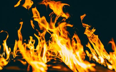 sandra-seitamaa-Y4Z96L84roQ-unsplash