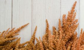 sara-mcmurray-lPqJ59rHN_E-unsplash