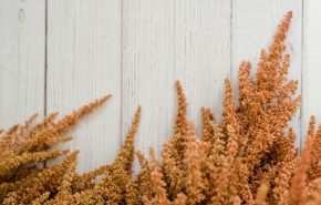 sara-mcmurray-lPqJ59rHN_E-unsplash