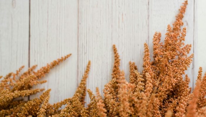 sara-mcmurray-lPqJ59rHN_E-unsplash