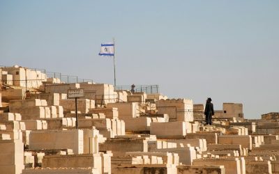 snowscat-JHTG-aVa3fA-unsplash